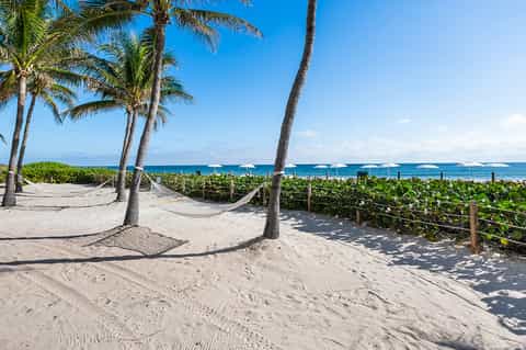Sandy beach with palm tree hammocks, white umbrellas, and ocean view with vegetation barrier