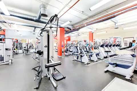 Modern gym interior with exercise equipment, red support columns, and cardio machines