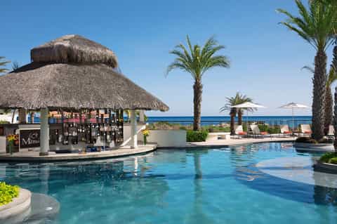 Oceanfront pool with thatched-roof bar, palm trees, ocean view, and lounge chairs