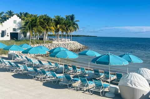 Beachfront lounge area with turquoise umbrellas, lounge chairs, and palm trees