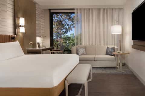 Modern hotel guest room with bed, sofa, large window, and contemporary furnishings