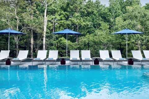Resort pool with blue umbrellas, white lounge chairs, blue water, and forest backdrop with metal railing