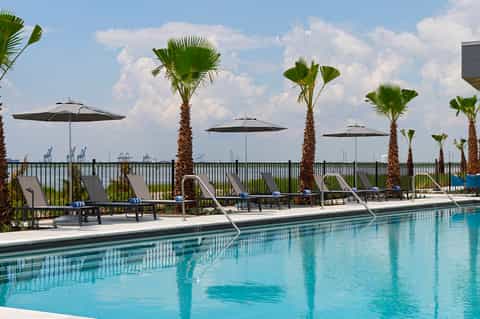 Resort pool with black umbrellas, loungers, palm trees, and waterfront railing views