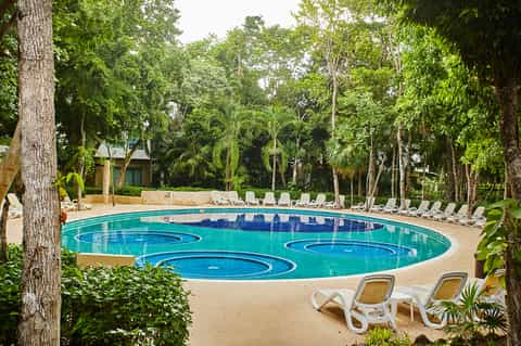 Resort pool surrounded by tall trees with loungers and tropical landscaping