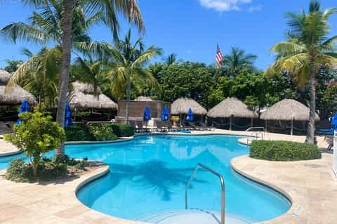 Resort pool with blue water, thatched cabanas, palm trees, and tropical landscaping
