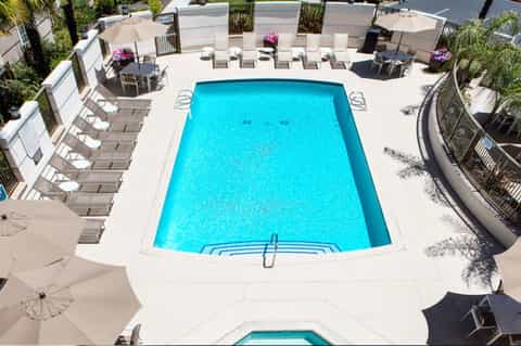 Rectangular resort pool surrounded by white loungers, umbrellas, and palm landscaping