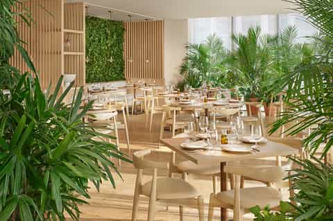 Modern restaurant dining room with light wood tables, white chairs, abundant green plants, and natural light.