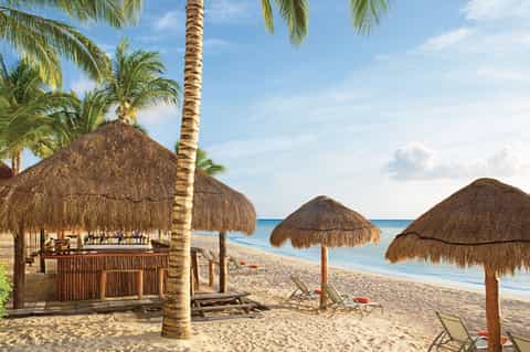 Beach bar with thatched roof, lounge chairs under palm umbrellas, and calm ocean horizon