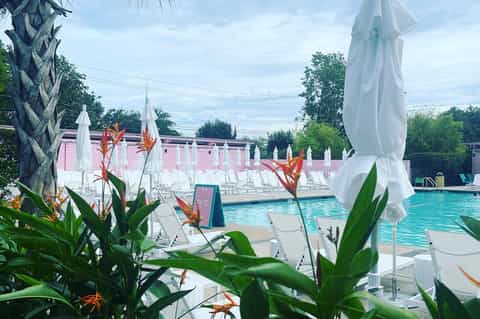 Resort pool with white umbrellas, tropical flowers, pink building, and white lounge chairs in background