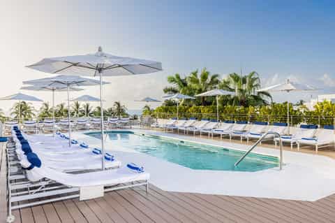 Rooftop pool with white umbrellas, blue loungers, palm trees, and clear sky