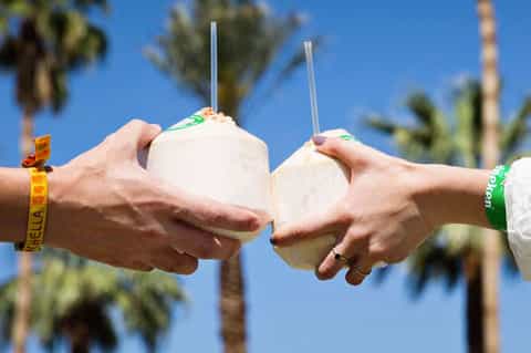 Two people holding fresh coconut drinks with straws against a blue sky with palm trees
