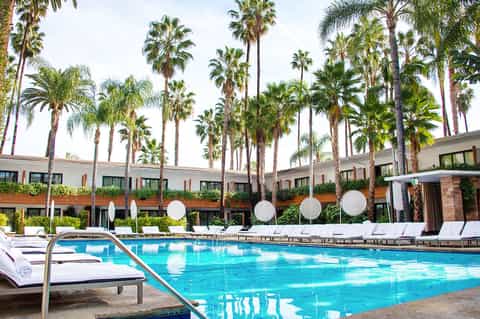 Luxurious resort pool surrounded by palm trees, lounge chairs, and white umbrellas with modern buildings in background