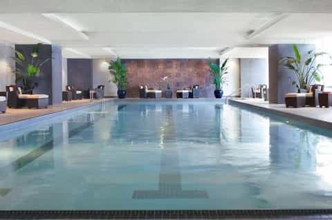 Modern indoor lap pool with reflective water, lounge seating, and plants