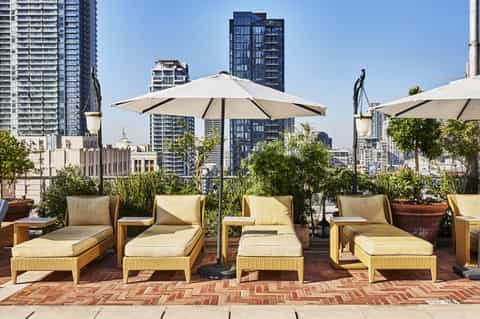 Rooftop lounge with cream loungers, umbrellas, potted plants, and urban skyline backdrop
