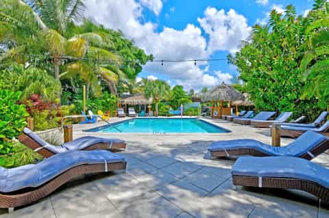 Tropical resort pool with blue lounge chairs, thatched umbrellas, palm trees, and lush landscaping