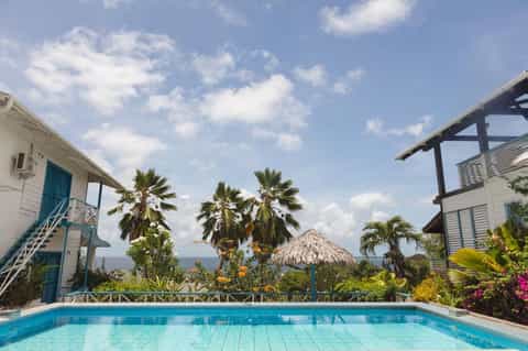 Tropical resort pool with palm trees, ocean view, and bungalows overlooking water