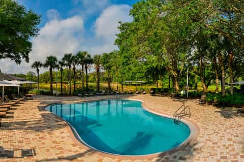Resort pool surrounded by brick patio, mature oak trees, lounge chairs, and manicured grounds
