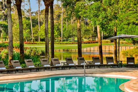 Spa-like pool surrounded by tall palm trees, lounge chairs, and natural landscape