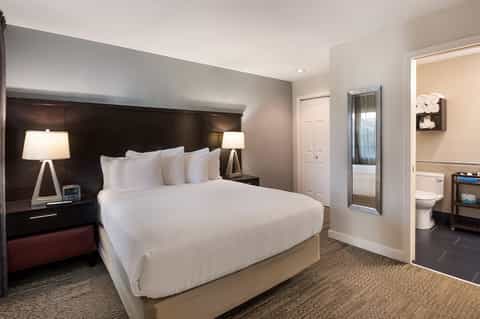 Contemporary hotel bedroom with dark headboard, white bedding, en-suite bathroom visible