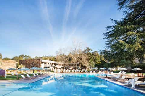 Olympic-size resort pool with white loungers, blue umbrellas, and manicured lawn surrounded by trees