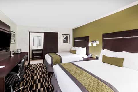 Hotel double room with dark wood furnishings, olive green accents, patterned carpet, and flat-screen TV