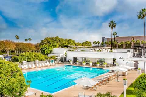 Olympic-sized resort swimming pool with lap lanes and palm trees