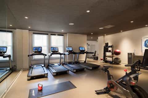 Modern fitness center with treadmills, exercise bikes, weights, and large windows with natural light