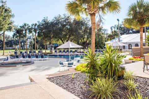 Resort pool area with lounge chairs, white umbrellas, palm trees, and manicured lawn