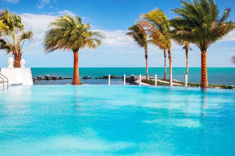 Turquoise infinity pool with palm trees overlooking the ocean and rocky coastline