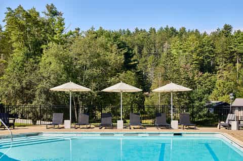 Olympic-style lap pool with three white umbrellas and forest backdrop in daylight