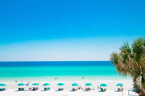 Pristine beach with turquoise water, white sand, and rows of teal umbrellas with loungers and palm tree