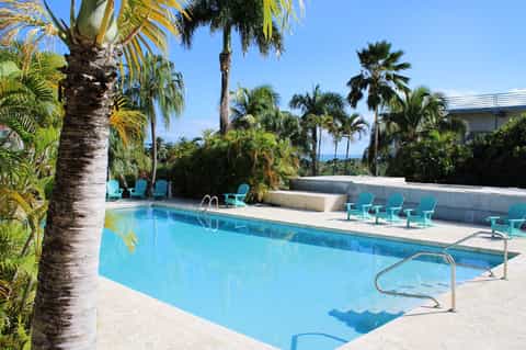 Resort pool surrounded by palm trees and turquoise lounge chairs in tropical setting