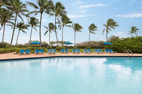 Resort pool with blue lounge chairs, umbrellas, palm trees, and lush landscaping