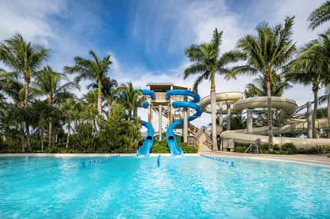 Water park with bright blue slide towers and palm trees surrounding turquoise pool