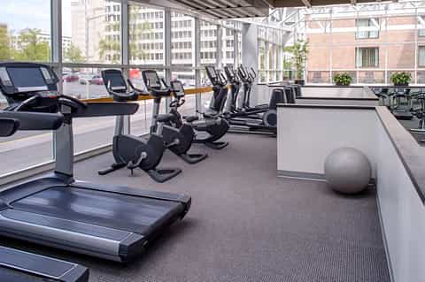Modern gym with elliptical machines, stationary bikes, treadmills, and urban cityscape views through windows