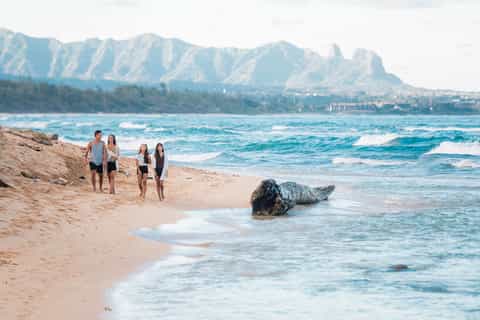 Beach walkers on sandy shore with mountain backdrop and waves, scenic coastal landscape