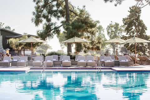 Resort pool with lounge chairs, striped umbrellas, palm trees, and manicured landscape