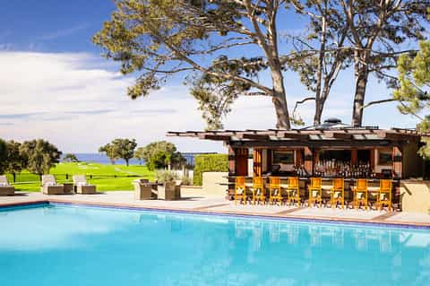 Oceanside resort pool with wooden bar, lounge area, and ocean view under trees