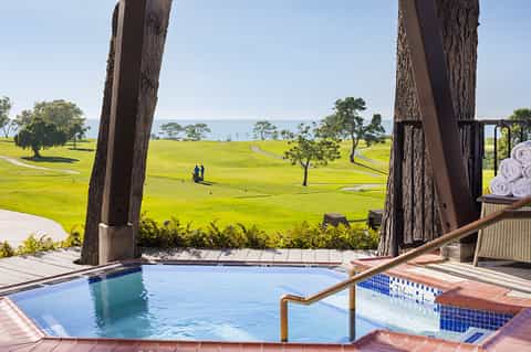 Oceanview spa pool with large tree trunks framing green lawn and distant water