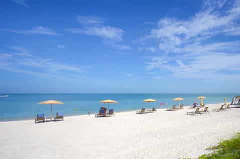 Sandy beach with yellow umbrellas, lounge chairs, and turquoise ocean water under blue sky