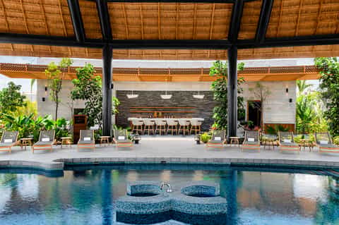 Modern resort pavilion with thatched ceiling, pool with spa jets, dining area and tropical landscaping