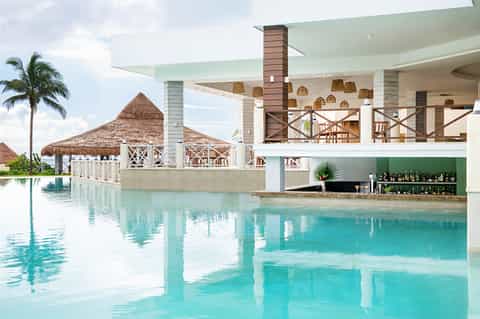 Luxury tropical resort pool with thatched roof cabana, palm tree, and waterfront bar