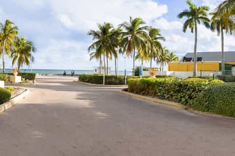 Palm-lined coastal promenade with ocean view and modern buildings with yellow awnings