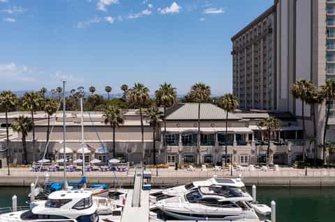 Marina with moored boats, waterfront buildings with palm trees, and residential tower on sunny day