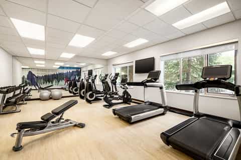 Modern fitness center with cardio equipment, weights, exercise balls, and large windows overlooking trees