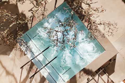 Overhead view of turquoise swimming pool with lounge chairs and dried plants casting shadows on deck