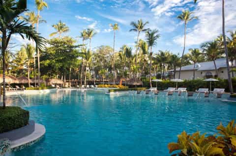 Resort pool surrounded by palm trees, lounge chairs, and manicured landscape