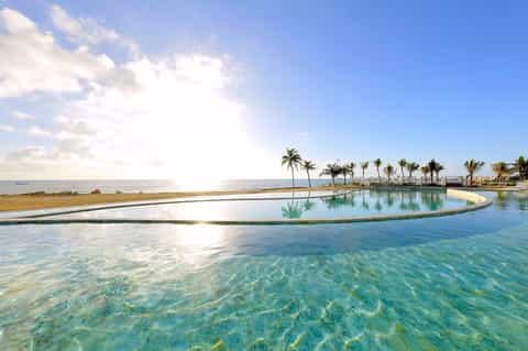 Curved infinity pool with palm trees overlooking crystal clear turquoise ocean water