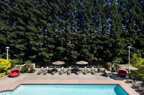 Resort pool with lounge chairs, umbrellas, and red pod seating surrounded by tall evergreen trees