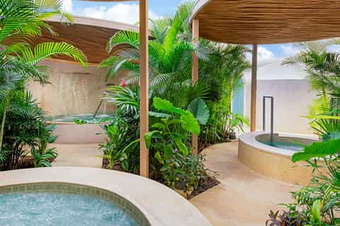 Luxurious spa area with hot tubs surrounded by tropical palm plants and wooden pergolas
